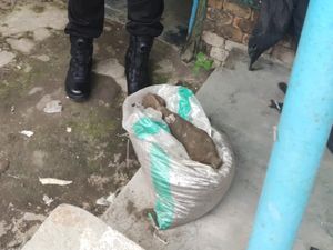 Warga Kediri Temukan Mortir Aktif saat Mancing