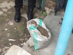 Warga Kediri Temukan Mortir Aktif saat Mancing