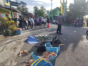 Penjual Ayam Keliling di Blitar Tewas Usai Tabrakan dengan Motor Keluar Gang Penjual Ayam Keliling di Blitar Tewas Usai Tabrakan dengan Motor Keluar Gang