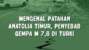 Infografis: Mengenal Patahan Anatolia Timur, Penyebab Gempa M 7,8 di Turki