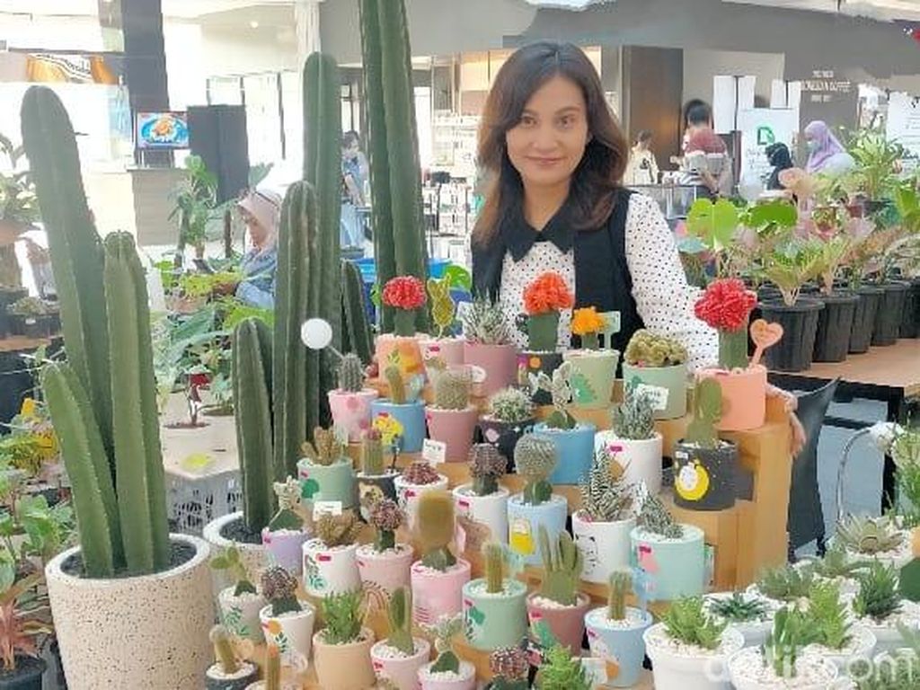 Tanaman Hias Bikin Perempuan Tangguh Ini Survive Lewati Pandemi COVID-19 Tanaman Hias Bikin Perempuan Tangguh Ini Survive Lewati Pandemi COVID-19