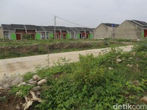 Beli Rumah Paling Mahal Rp 234 Juta Bebas Pajak! Beli Rumah Paling Mahal Rp 234 Juta Bebas Pajak!