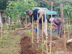 Kisah di Balik Petani Disabilitas: Modal Nekat hingga Skill Pas-pasan