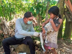 Awal Tahun, Sembilan Orang Digigit Anjing Rabies di Karangasem