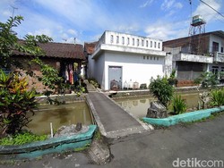 Viral Video Ojol Nyemplung Sungai di Magelang, Begini Ceritanya