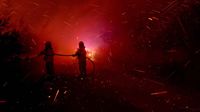 Aksi Petugas Menembus Hutan Membara di Chili