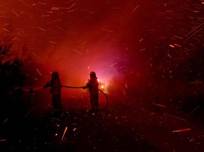 Aksi Petugas Menembus Hutan Membara di Chili