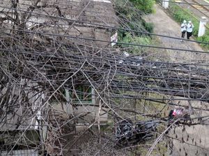 Ini Kabel atau Sarang Laba-laba?