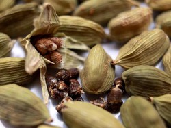 10 Manfaat Kapulaga bagi Tubuh, Salah Satunya Turunkan Tekanan Darah