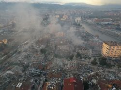 Heboh Tingkah Aneh Burung hingga Anjing Sebelum Gempa Turki