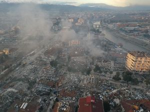 Heboh Tingkah Aneh Burung hingga Anjing Sebelum Gempa Turki