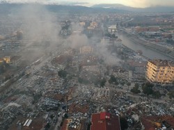 Heboh Tingkah Aneh Burung hingga Anjing Sebelum Gempa Turki