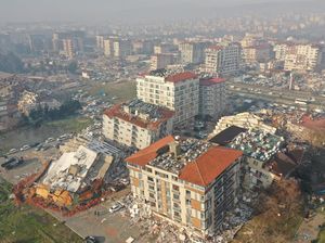 Heboh Tingkah Aneh Burung dan Anjing Sebelum Gempa Turki Heboh Tingkah Aneh Burung dan Anjing Sebelum Gempa Turki
