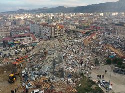 Soal Perilaku Abnormal Hewan Sebelum Gempa Turki, Benarkah Binatang Bisa Mendeteksi?