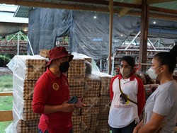 Ternak Ayam Petelur, Aktivis PMI Raup Untung Puluhan Juta/Bulan