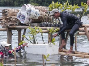 Aksi Tanam Mangrove untuk Jaga Keseimbangan Alam