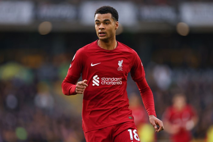 WOLVERHAMPTON, ENGLAND - FEBRUARY 04:  Cody Gakpo of Liverpool during the Premier League match between Wolverhampton Wanderers and Liverpool FC at Molineux on February 4, 2023 in Wolverhampton, United Kingdom. (Photo by Marc Atkins/Getty Images)
