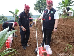 Mentan-Bupati Mas Dhito Bagi Bibit-Tanam Kelapa Genjah