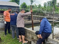 Balita Tulungagung Tewas Tenggelam di Kolam saat Ibu Tertidur