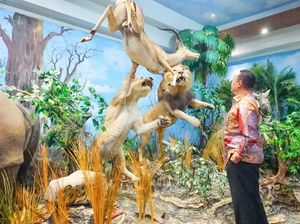 Koleksi Museum Satwa Dunia di Medan Bikin Bamsoet Terkesima