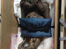 Penelitian Ungkap Mumi Putri Duyung di Jepang Ternyata Palsu