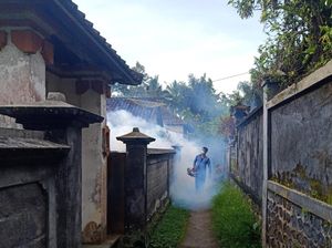 DBD di Karangasem Tembus 62 Kasus Sejak Awal 2023
