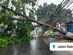 Hujan Disertai Angin Kencang di Bekasi, 6 Pohon Tumbang