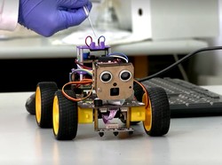 Ilmuwan Israel Ciptakan Robot Pengendus dengan Antena Belalang