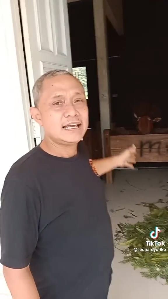 Rumah mewah berisi sapi di Madura