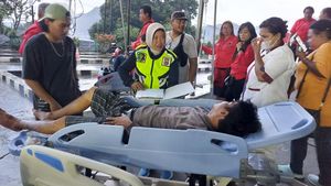 Terkini! Foto-foto Evakuasi Korban Gempa M 5,4 di Jayapura