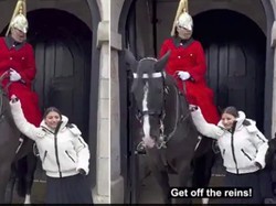 Nekat Pegang Kuda Kerajaan, Turis Ini Dibentak Pengawal Sampai Dua Kali