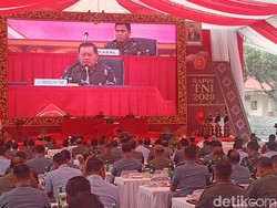 Panglima TNI Minta Jajarannya Maksimal Atasi Karhutla: Kalau Perlu Cari Dukun
