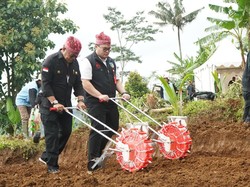 Pemkab Kediri Targetkan Tanam 24.090 Kelapa Genjah pada Lahan 219 Ha