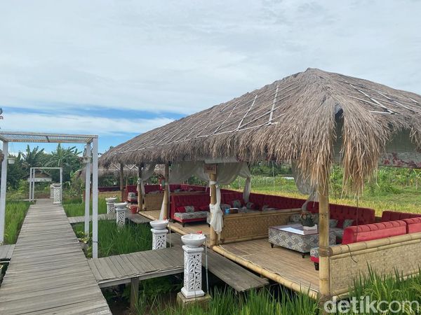 Sejuk! Ngariung Menikmati Hidangan Sunda di DSawah Bogor