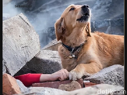 Awas Hoaks! 5 Foto-Video Viral Gempa Turki Ini Ternyata Palsu