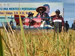Mentan Panen Raya di Bengkulu: Pertanian Bekerja Maksimal