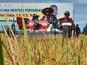 Mentan Panen Raya di Bengkulu: Pertanian Bekerja Maksimal Mentan Panen Raya di Bengkulu: Pertanian Bekerja Maksimal