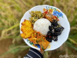 Adem Ayem, Makan Nasi Cumi di Tengah Hamparan Sawah