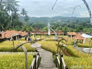 10 Tempat Makan dengan Panorama Sawah hingga Hutan Pinus di Puncak 10 Tempat Makan dengan Panorama Sawah hingga Hutan Pinus di Puncak