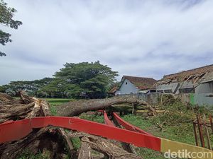 Atap SD Sananwetan 3 Kota Blitar Rusak Tertimpa Pohon Tumbang Atap SD Sananwetan 3 Kota Blitar Rusak Tertimpa Pohon Tumbang