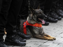 Polda Jateng Terjunkan K9 Antisipasi Sabotase Debat Pilgub Jateng