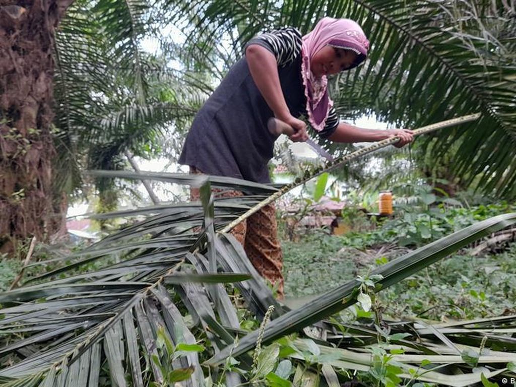 7 Tahun Negosiasi, Bagaimana Nasib Perjanjian Perdagangan Uni Eropa-RI? 7 Tahun Negosiasi, Bagaimana Nasib Perjanjian Perdagangan Uni Eropa-RI?