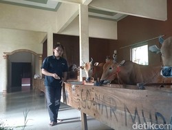 Kenalkan! Sultan Madura Ini Bangun Rumah Mewah untuk Kandang Sapi