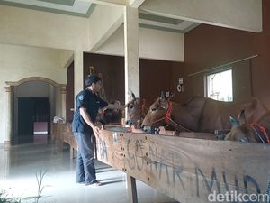 Jatim Sepekan: Kandang Sapi Mewah Sultan Madura-Singa Taman Safari Tabrak Mobil Jatim Sepekan: Kandang Sapi Mewah Sultan Madura-Singa Taman Safari Tabrak Mobil