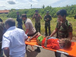 Kondisi 25 Warga Nduga Dievakuasi karena Ancaman KKB: Sakit hingga Kelaparan