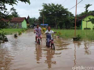 Hujan Semalaman, Rumah Warga, Sekolah-Sawah di Ponorogo Terendam Banjir