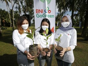 Dukung Sustainable Finance, Ini Jurus BNI Tekan Emisi Gas Rumah Kaca