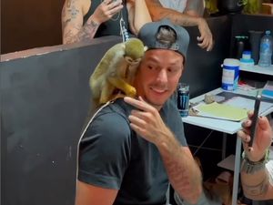 Ini Pria Pertama di Dunia yang Ditato Oleh Monyet, Begini Jadinya