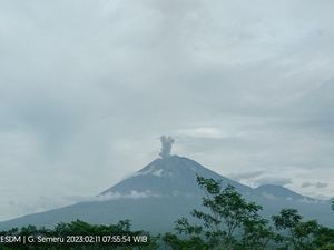 Semeru Kembali Erupsi Pagi Ini, Tinggi Letusan 600 Meter dari Puncak