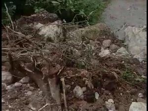 Jalan di Kupang Tertimbun Longsor, Warga Tidak Bisa Melintas